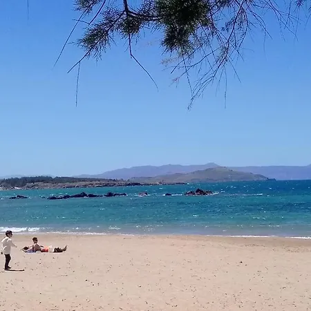 Appartement Roof-garden *