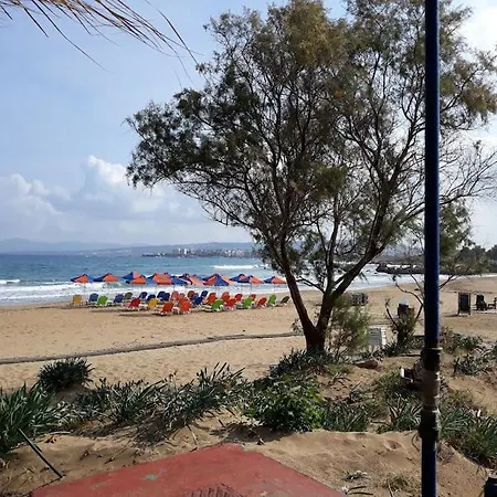Apartment Roof-garden *